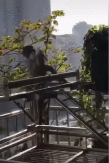 Hãy lạc quan trong mọi hoàn cảnh.