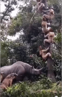 Đợi chờ là hạnh phúc.