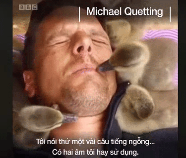 Đội vệ sinh chuyên nghiệp