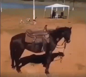 Hỏi ai chưa mà đòi lên.