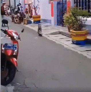 Lui hết ra để tôi thể hiện