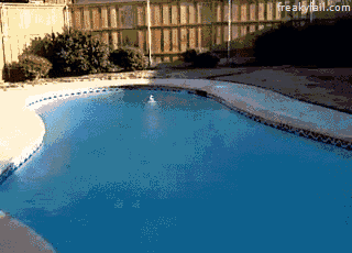 Anh tiếp đất rất an toàn.