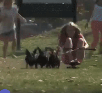 Đua thôi. Đua thôi.