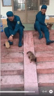 Cầu trượt vui không này. Cầu trượt vui không này.