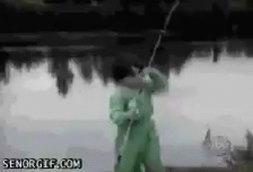 Câu được cá thì phải làm gì? Câu được cá thì phải làm gì?