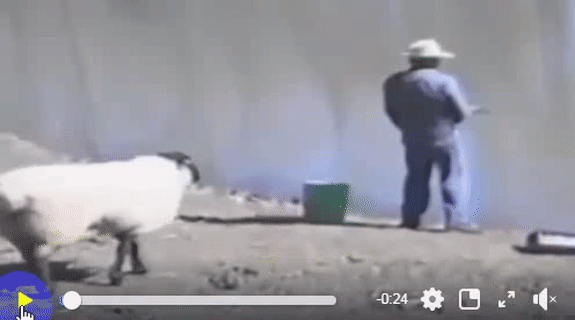 Anh đã làm gì để bị ghét như vậy.