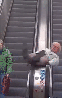 Cụ đang rất rảnh.