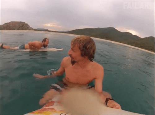 Chống mắt lên mà xem thôi thể hiện đây này.