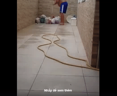 Loạn cả rồi Loạn cả rồi