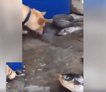 Cố lên các bạn Cố lên các bạn