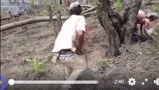 Nông dân đã được nâng đời. Nông dân đã được nâng đời.