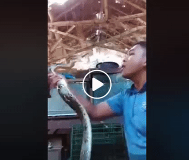 Này thì thổi thổi