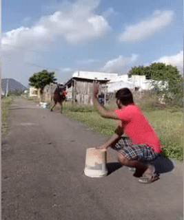 Ai đã từng thử chưa. Ai đã từng thử chưa.