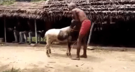 Lao vào nữa đi xem nào. Lao vào nữa đi xem nào.