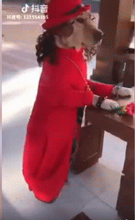 Giữa chốn đông người mà thấy trống vắng quá.