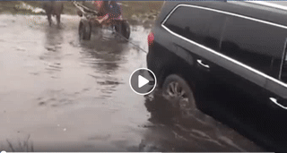 Dễ ợt để anh đưa chú lên