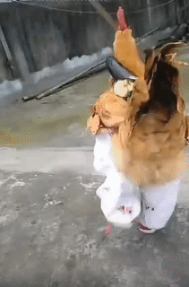 Cho ý kiến đi ạ.