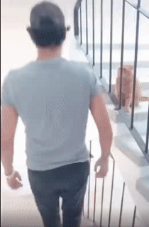 Làm gì để ghét vậy.