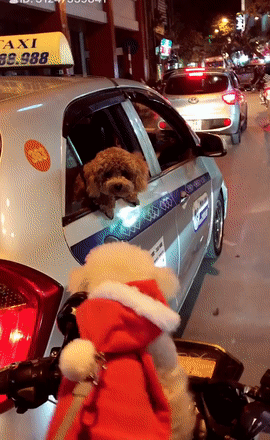 Tại sao yêu nhau không đến được với nhau