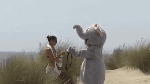 Một chuyến đi săn thành công mỹ mãn.