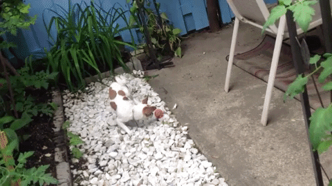 Nhìn vào chứ. Nhìn vào chứ.