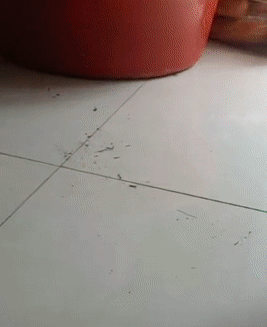 Một tác dụng khác Một tác dụng khác