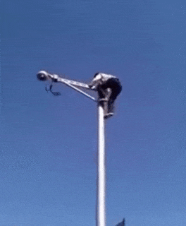 Khoảnh khắc tuyệt đẹp của những người hùng xả thân cứu sống các con vật nhỏ bé ảnh 6 Khoảnh khắc tuyệt đẹp của những người hùng xả thân cứu sống các con vật nhỏ bé ảnh 6