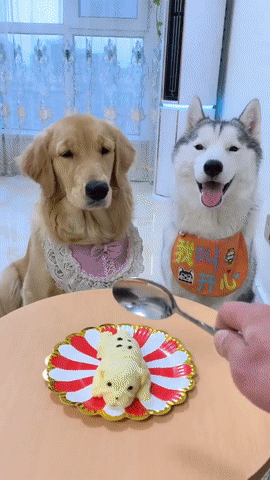 Đã chịu đi ngủ chưa