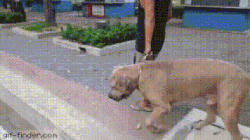 Tình mẫu tử thiêng liêng.