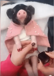 Làm đẹp đón Xuân.