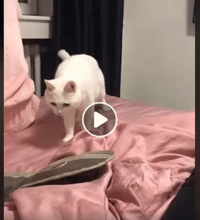 Định đi ngủ mà lại cứ bật nhạc