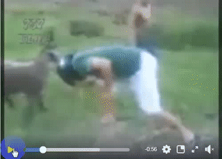 Xem ai cứng đầu hơn.