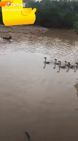 Ăn được mà dễ à Ăn được mà dễ à