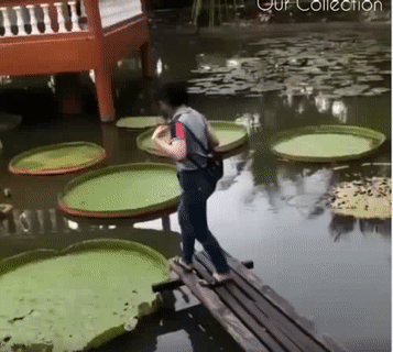 Hỏng hết tác phẩm của anh rồi.