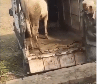 Quá nhanh quá nguy hiểm.