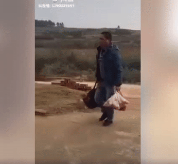 Mẹ ơi con đã về