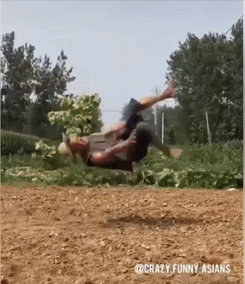 Chưa phải cao thủ đâu.