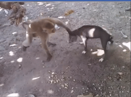 Chân tay dài có lợi đấy chứ.