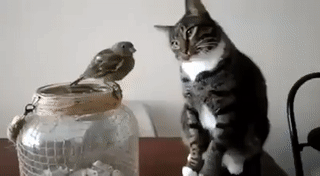 Cách sờ để bạn ấy không đau.