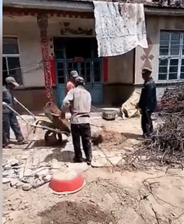 Các anh rất tao nhã.