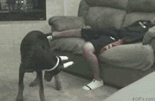 Đánh thức kiểu này thì quá thốn luôn.