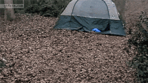 Chắc không dám vào rừng ngủ lần nào nữa.