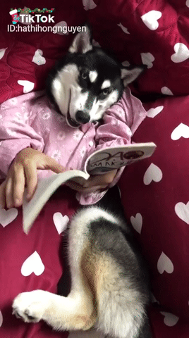 Đến giờ đọc sách rồi Đến giờ đọc sách rồi