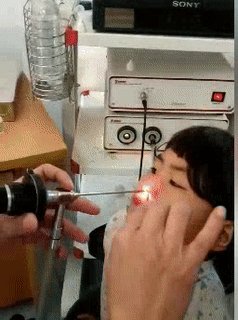 Con gì đây Con gì đây