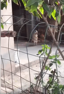 Ở nhà một mình làm gì cho đỡ chán.