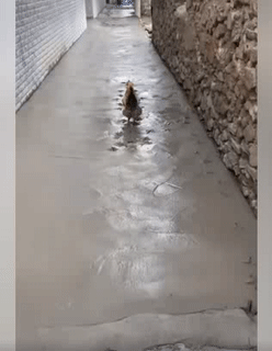 Nên làm món gì ạ.