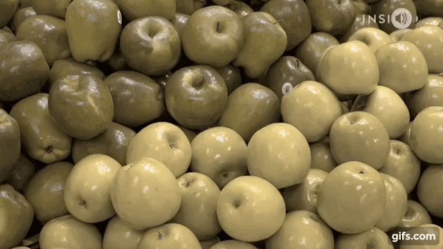 Chùm ảnh khiến bạn ngạc nhiên về thế giới trong con mắt của những người mù màu 