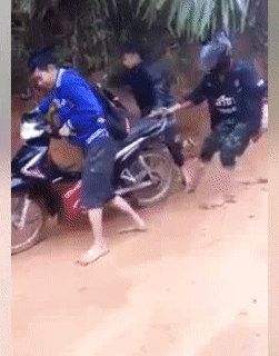 Đi còn chả vững. Đi còn chả vững.