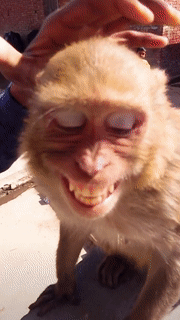 Nụ cười của năm