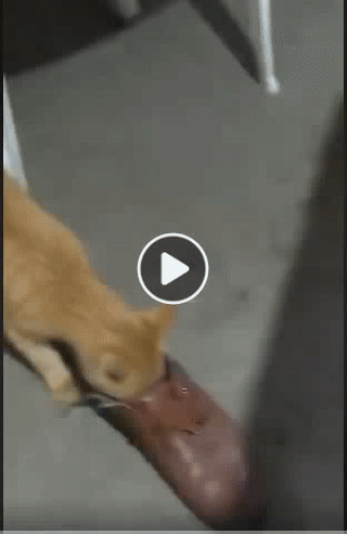 Muộn rồi ngủ đi em